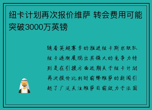 纽卡计划再次报价维萨 转会费用可能突破3000万英镑