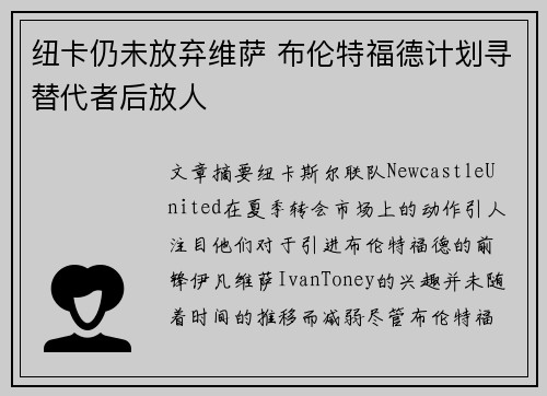 纽卡仍未放弃维萨 布伦特福德计划寻替代者后放人